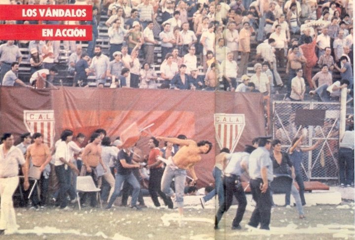 TheRealDiegoMartinez tweet media