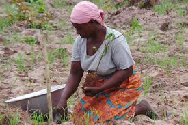 Agri_FinanceKe's tweet photo. When rural women have equal access to resources we will be one step close to #ZeroHunger. Today less than 15% of all landholders are #women. This needs to change Photo: Travel Impact Newswire @FAOKenya
#KIPPRAConference2019
#GenderedDevelopement https://t.co/A7seOVs1LH