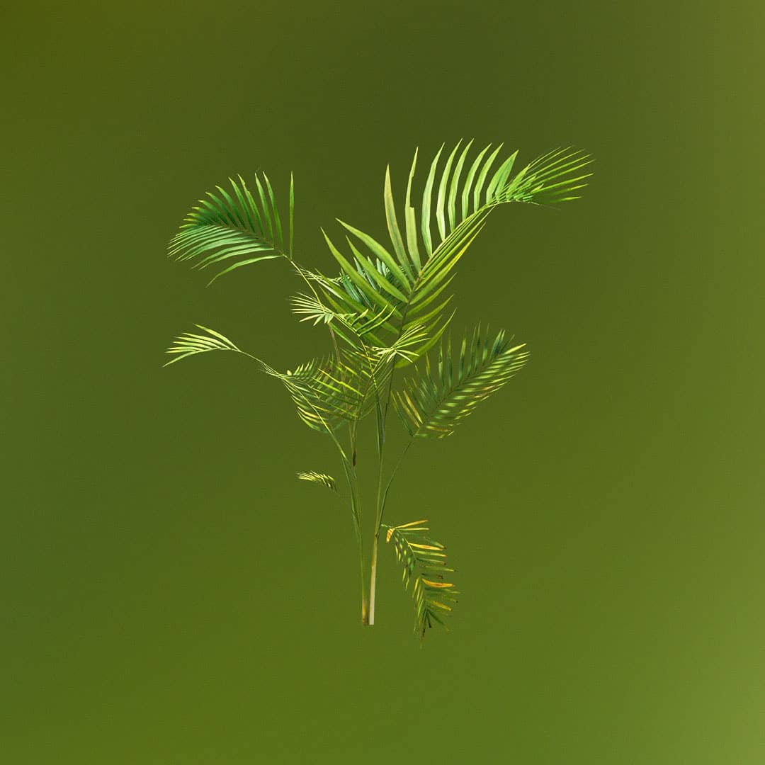 quixeltools's tweet image. Re-create your favorite game scenes and more using the new Desert Warzone assets.

Join our livestream today at 7PM CET: youtu.be/ooBaESJCH0o

quixel.com/megascans/libr…

#quixel #desert #warzone #gameart #shootergames #realworld #photogrammetry #livestream #counterstrike #csgo