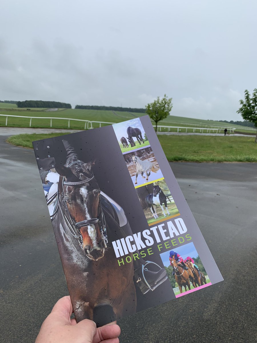 HicksteadFeeds's tweet photo. It’s a day for the ducks 🦆🦆🦆when’s the summer coming!!!  @NewmarketGallop #Newmarket #horseracing #horses #gastricactivplus #healthyhorses https://t.co/2iKjfhUq6R