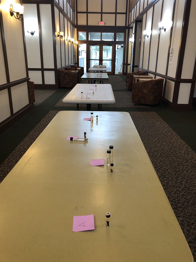 OUR2SWAMP's tweet photo. @ChecoLab’s classroom teaching with a group of excited GA teachers eager to learn along side professors too @LHuffling @HScott_GSU @shaz07928403 @viviancats #GeorgiaSouthernCOE #Our2Swamp #i2STEMe https://t.co/65nhRMoVJJ