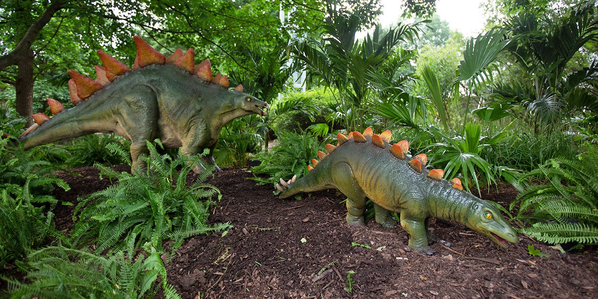 DCCirculator's tweet photo. What is one thing that all kids love? Dinosaurs! Treat the kids to a day with the Dinosaurs at the @NationalZoo’s new interactive DinoRoars exhibit. Our special #ZooBus will pick you up at the Woodley-Park metro station and drop you off at the Zoo's main entrance. https://t.co/XrSRdychTo