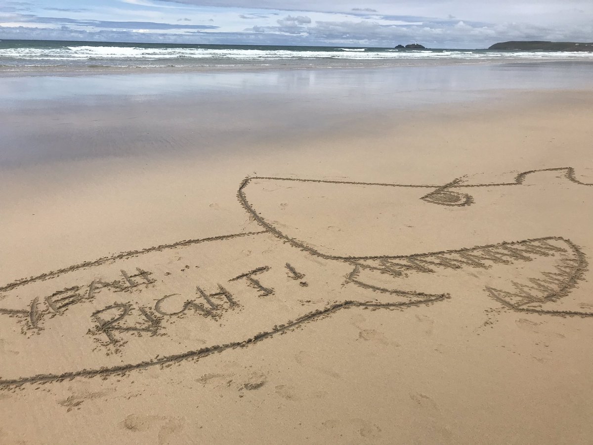 gingertotty's tweet photo. Also - he likes salad. NOT! #sharkasm #shark #beachart #sand https://t.co/sNbseXM3SV