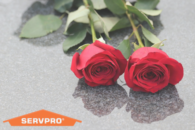 Happy National Red Rose Day🌹  Celebrate by surprising someone with a red rose who could use a smile today😊  #makesomeonesmile #brightentheirday #SERVPRO #SERVPROofNEColumbus