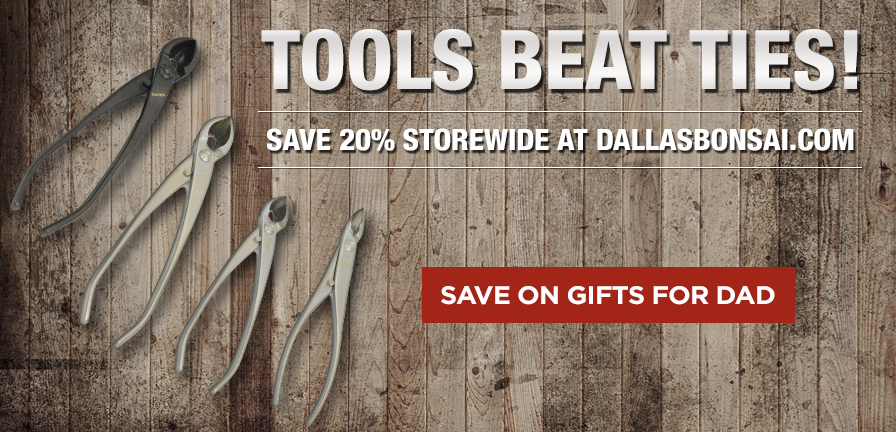 🌳 20% Off Everything Bonsai 🌳 Forget a tie this Father Day 👔 - dallasbonsai.com