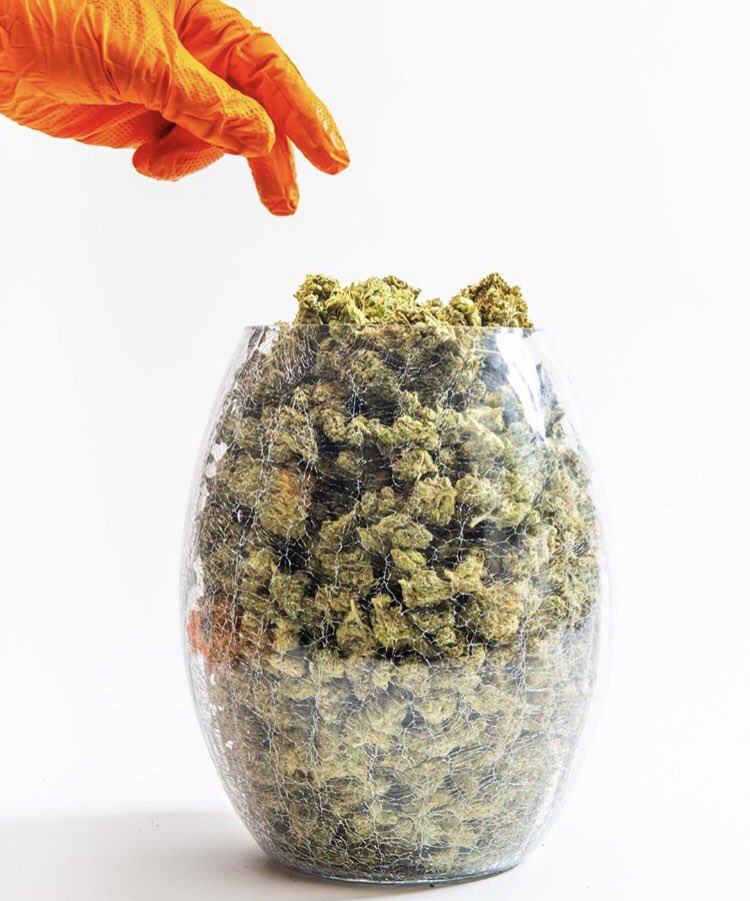 GreeneryMap's tweet photo. Which products get your first picks?! Download #Cannabis’ newest search engine @greenerymap to find all the best products and strains for you! #dontbeconfusedchooseyourmood #MapURMood https://t.co/jhbbqdyJ4r