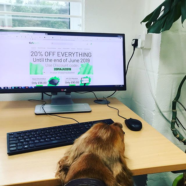 tick_tech's tweet photo. Our #ticktech mascot Harry dog is still amazed at our 20% off everything until the end of June offer. #gettingintheway #notaworkingdog #ineedtowork #bringapettoworkday #sleepingonthejob #deskaccessories https://t.co/LeJ2hFHmsh