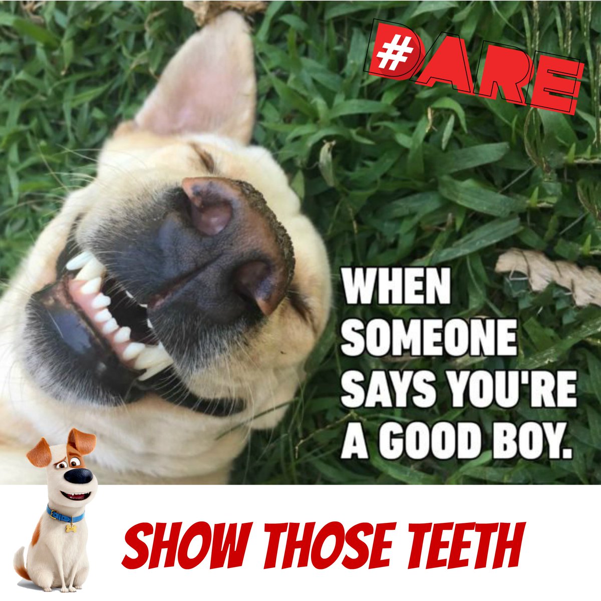 #DARE tweet media