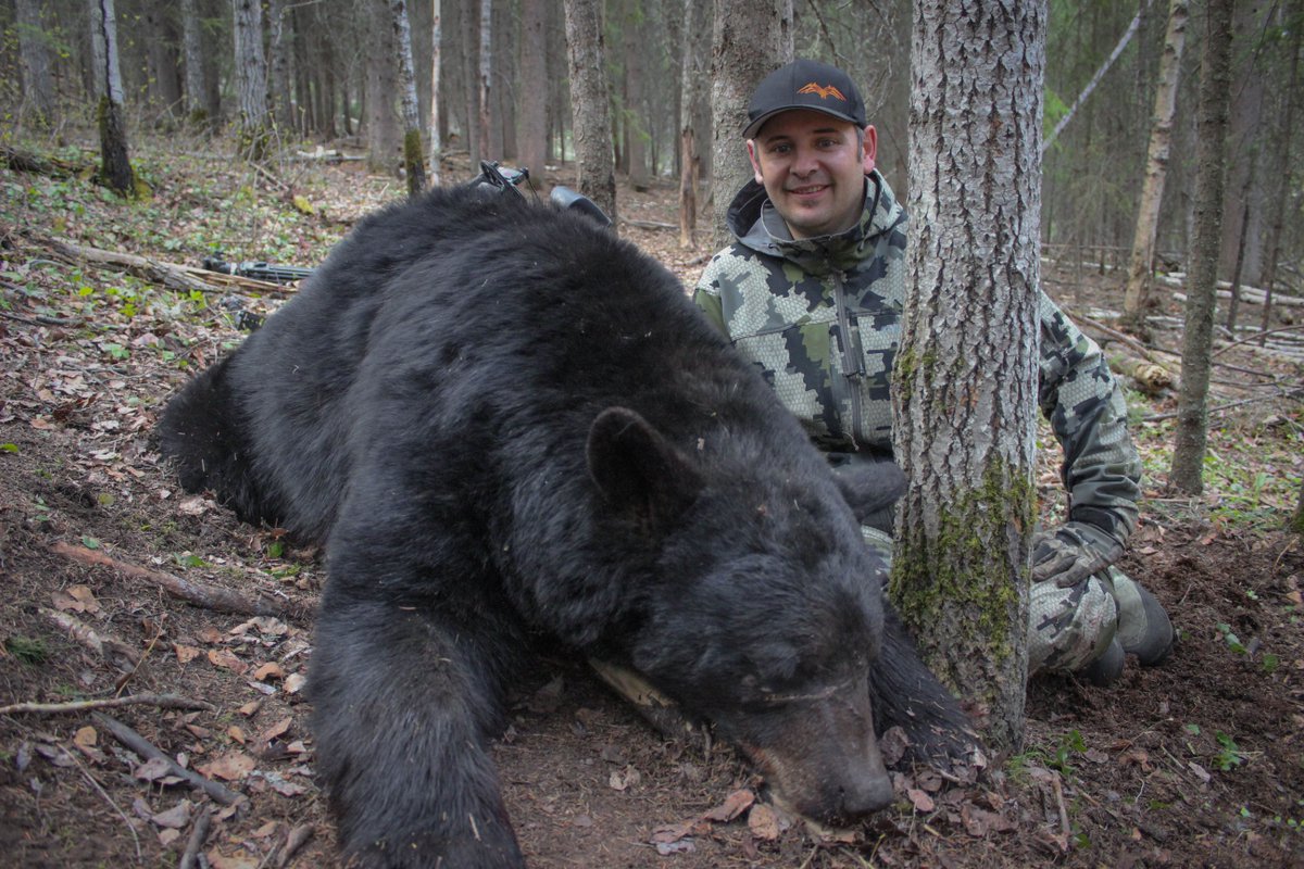 Scott Banack harvested a BEAutiful bear in Alberta using the Spartan Arrows! Congrats!

#TeamBEA #Spartan #BlackEagleArrows