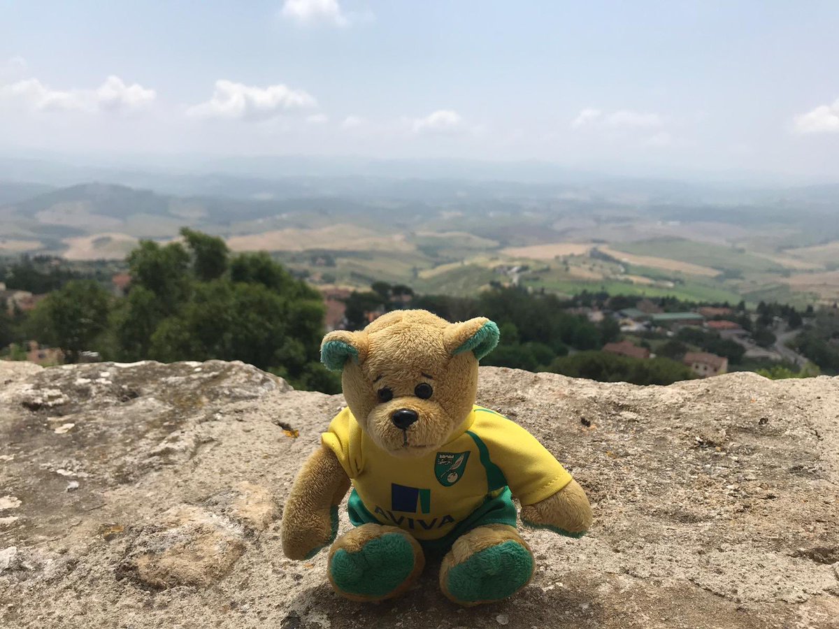 David_Soakell's tweet photo. The bear finds his way into the Tuscany hills in Italy 😊 #NCFC #RobButler https://t.co/kCnINm7kXR