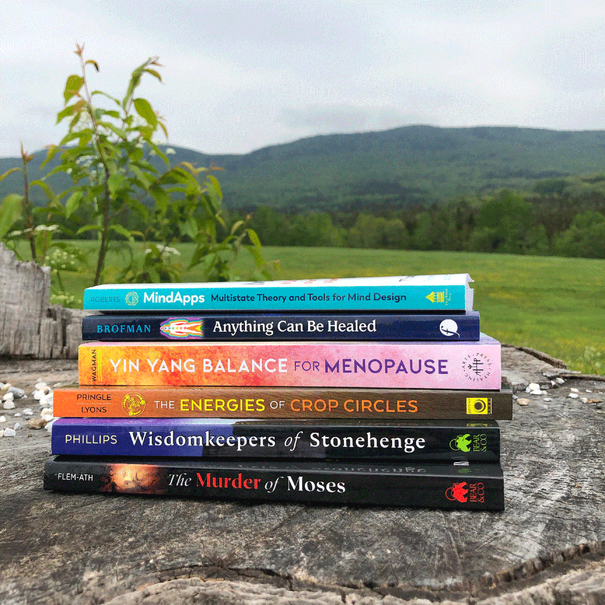 InnerTraditions's tweet photo. JUNE New Releases have arrived!  
https://t.co/J31ySqaUMw

#cropcircles #ancienthistory #health #minddesign #menopause #healing #books #newrelease #psychedelics #mindapps #stonehenge https://t.co/Uxdw08KLBT