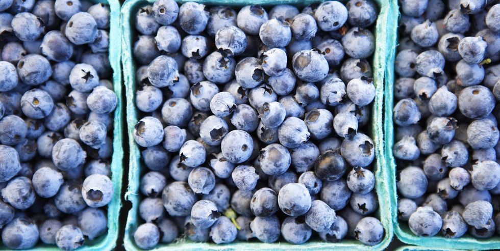 Green Stride Races tweet media