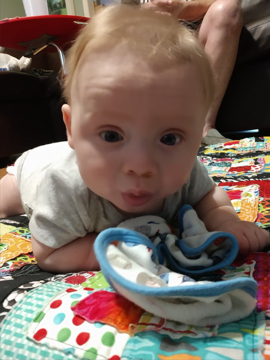 haus_mama's tweet photo. Is #TummyTime #Torture for your #Baby? Check out this #BlogPost about #BabyHaus's Tummy Time Progress! #MomBlog #MomLife https://t.co/bKVwVEDhsc https://t.co/Bl3YApvtv9