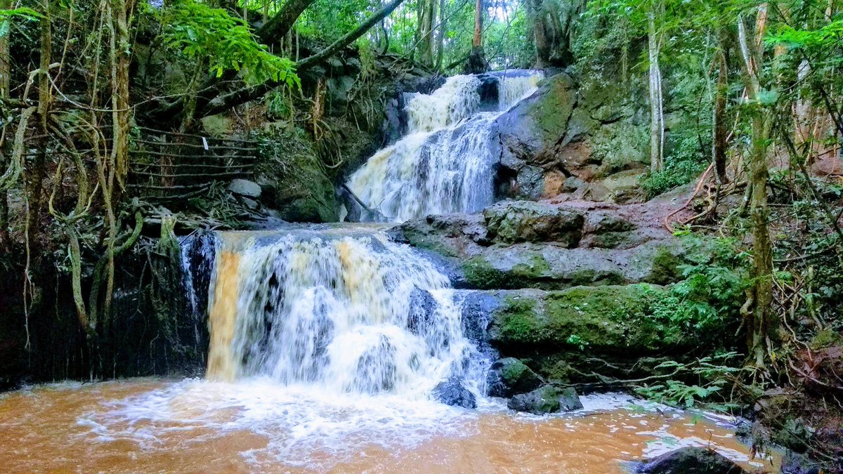 Jaganath_Gowda's tweet photo. Grace is finding a waterfall when you were only looking for a stream.

#nature #naturephotography #waterfall #forest #naturelove #myphotography #myclick📷 #mobilephotography #mobileclicks #loveinphotography #passion #water #minote5pro #nairobidairies #kenya🇰🇪 #karuraforest https://t.co/15mzNSzA1X