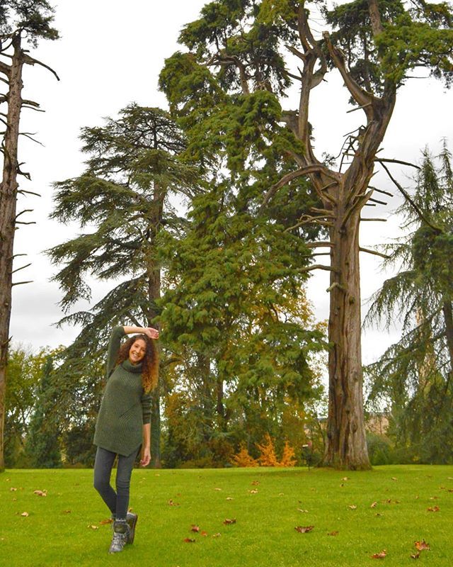 misskukicha's tweet photo. Breathe 🌳.
.
.
.
.
#asturias #naturaleza #bosque #verde #foto #fotografia #photo #photograpy #instafoto #natura #fotostumblr #fotodeldia #love #happy https://t.co/ulRZJdDBB3 https://t.co/GcySTFBYxj