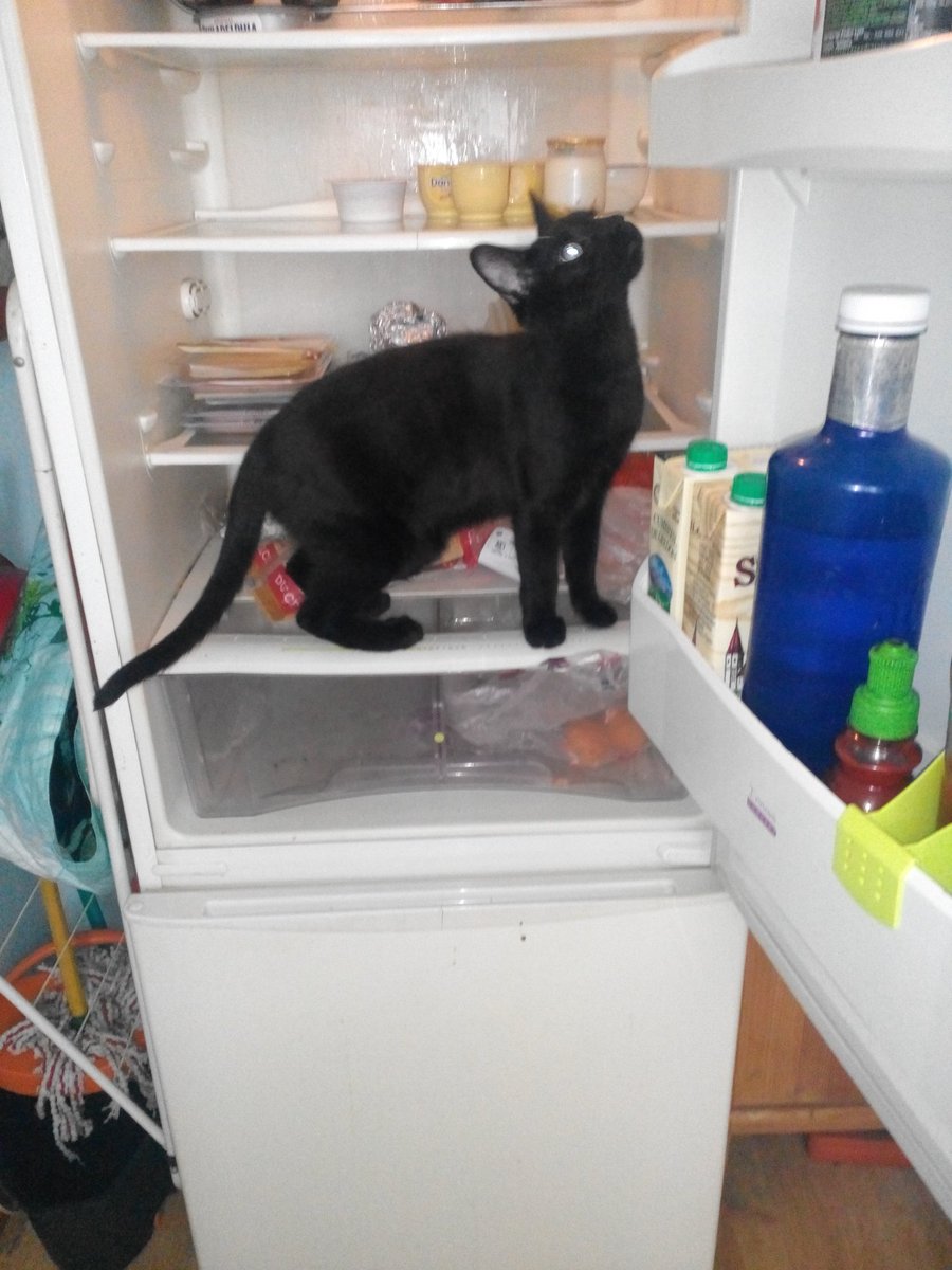 Anthrax en tu tampax tweet media