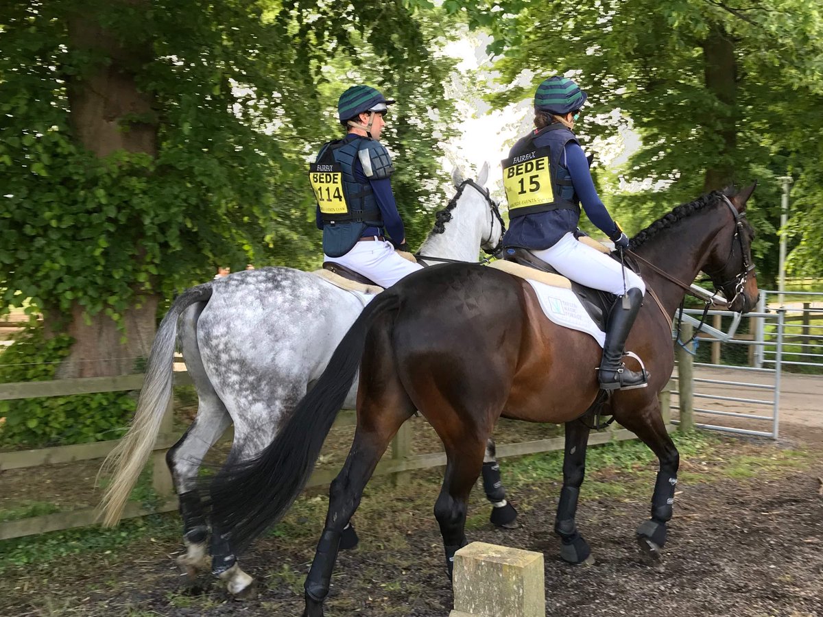 OwenAndKatie's tweet photo. Good day @BCA_Equine on Saturday Pembrooke 2nd 🥈👏in the Novice and Gringolet 10th in the Novice 😊@TopSpec2 @tmhaylage @sbkequestrian @SheldonBKnight https://t.co/25VBDrY569