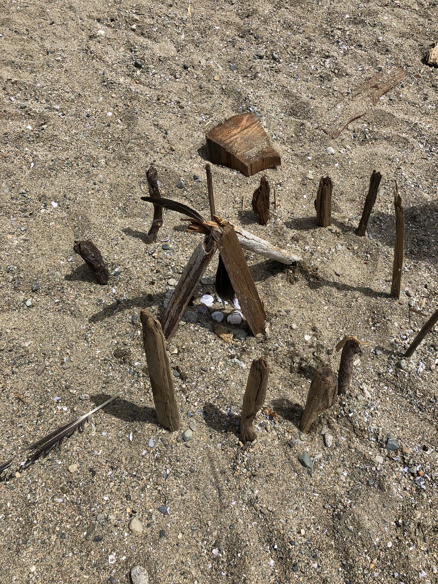 morikkey1's tweet photo. Grade 3s @cypressparkwv and @westbayschool designing the “perfect” Grade4 classroom. “It has a water slide” “ crabs are kids” #usingnature #newfriends #designthinking #creativity https://t.co/s7roAx7LPt