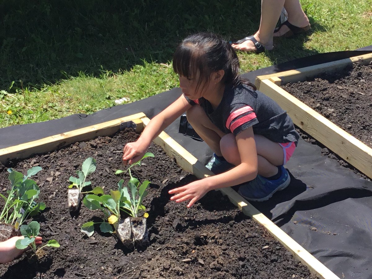FdsLeary's tweet photo. It’s planting day! #determinationliveshere #schoolgardens @FDSPrincipal  @avrceprograms https://t.co/rQCuGU6jn5