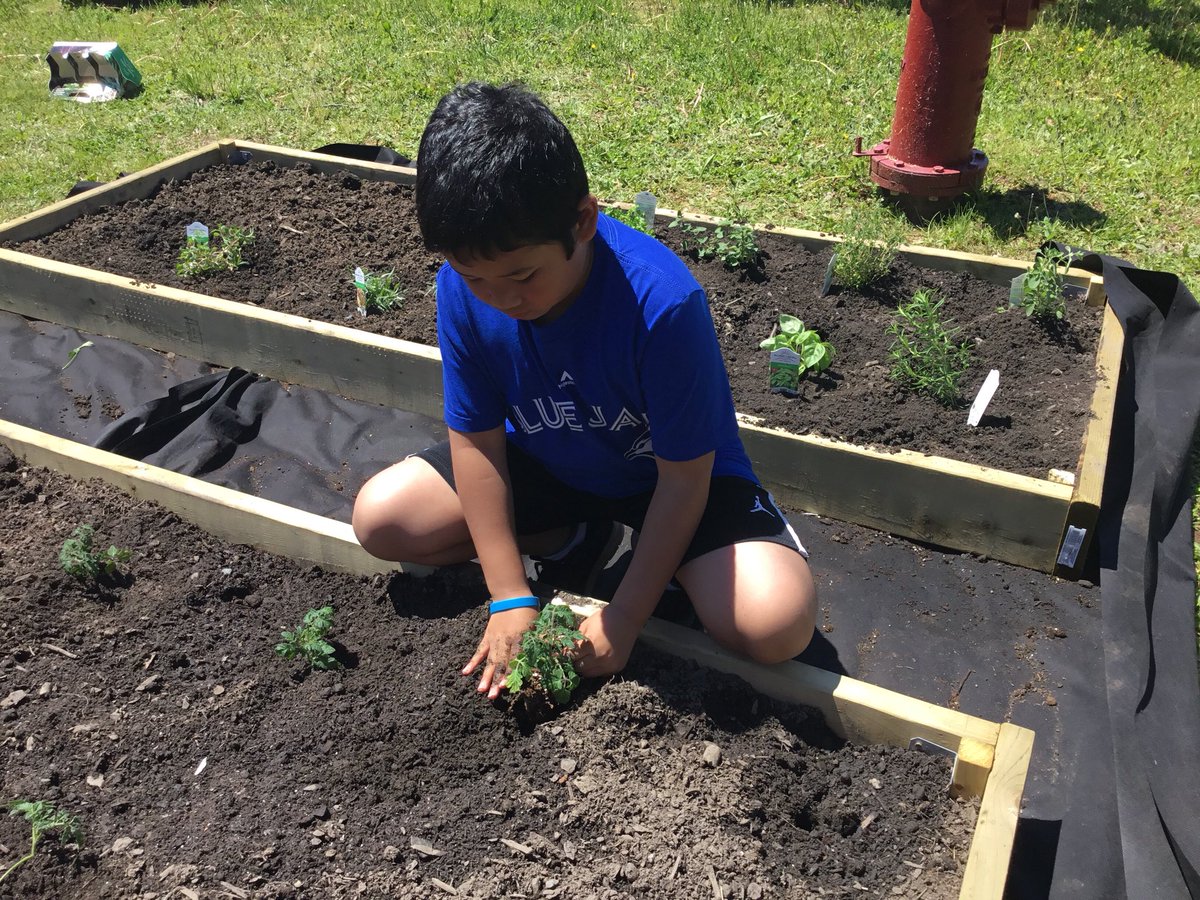 FdsLeary's tweet photo. It’s planting day! #determinationliveshere  #schoolgardens  @avrceprograms  @FDSPrincipal https://t.co/mzTnMiv4dM