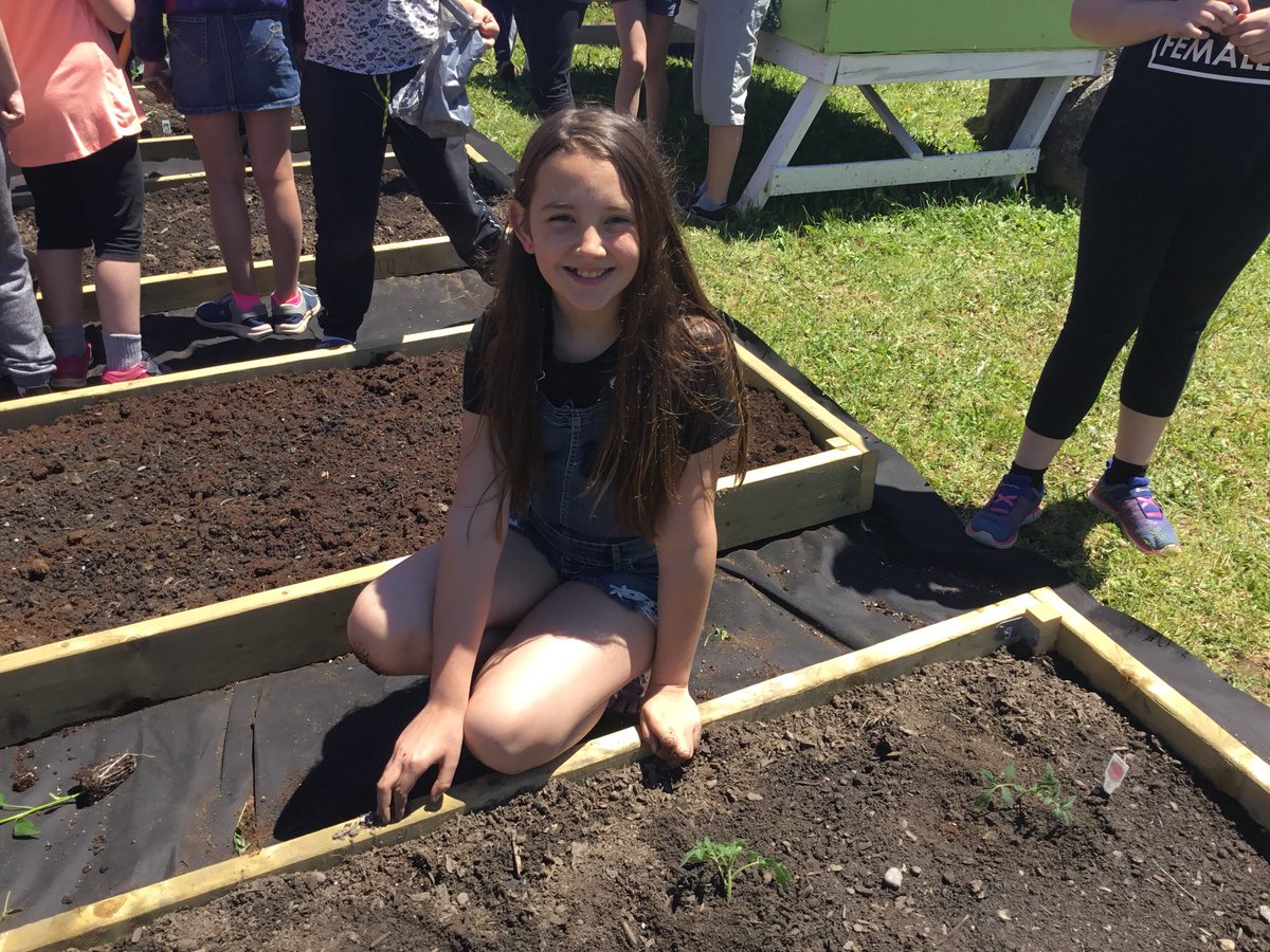 FdsLeary's tweet photo. It’s planting day! #determinationliveshere  #schoolgardens  @avrceprograms  @FDSPrincipal https://t.co/mzTnMiv4dM