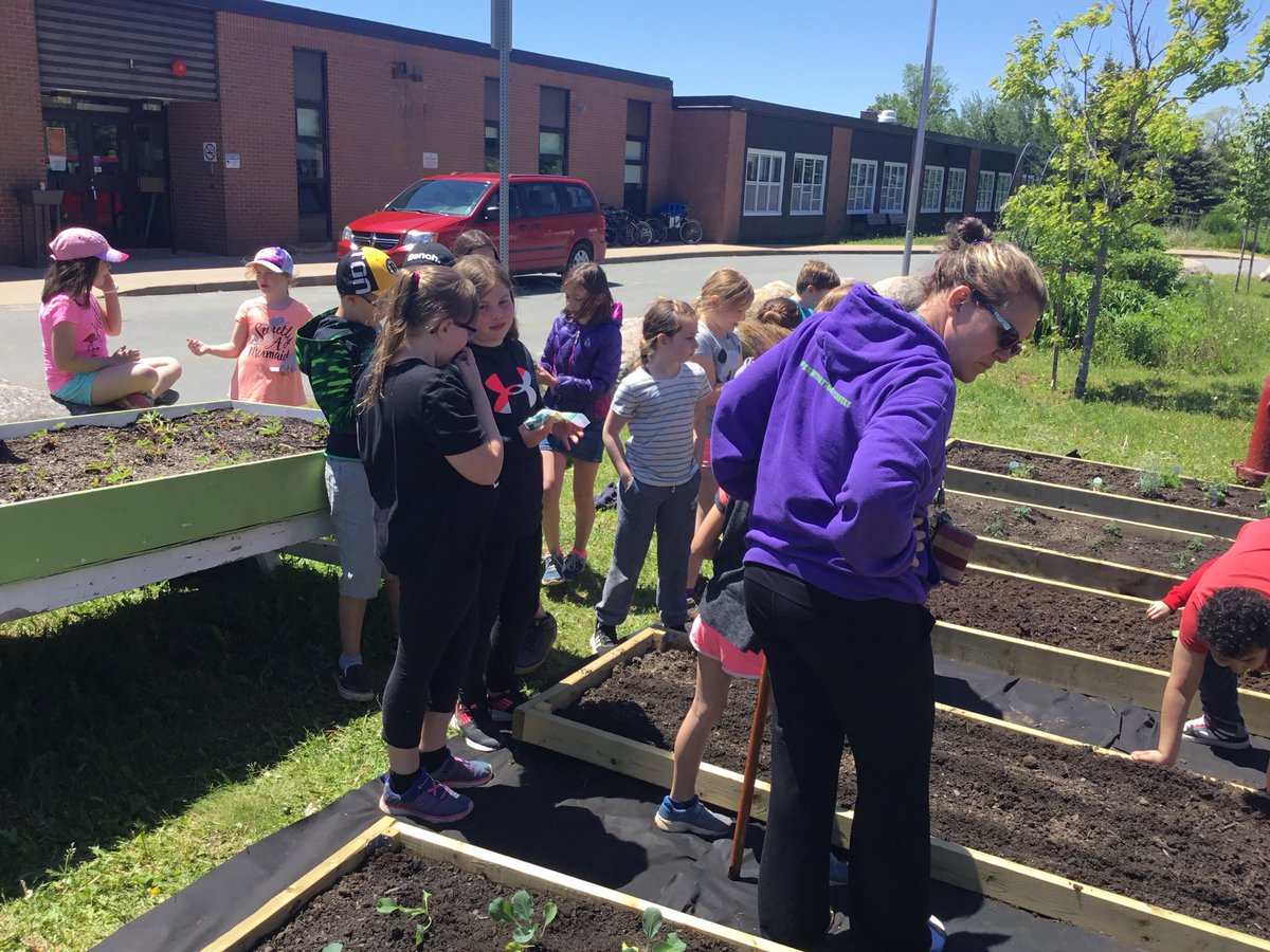 FdsLeary's tweet photo. It’s planting day! #determinationliveshere  #schoolgardens  @avrceprograms  @FDSPrincipal https://t.co/mzTnMiv4dM