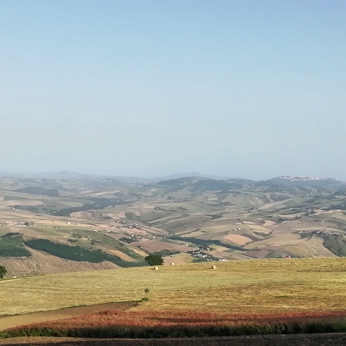 Erri5989's tweet photo. #colori #natura #panorama #irpinia #giugno #casalbore
@paesaggiirpini https://t.co/0ekxxz5zjg