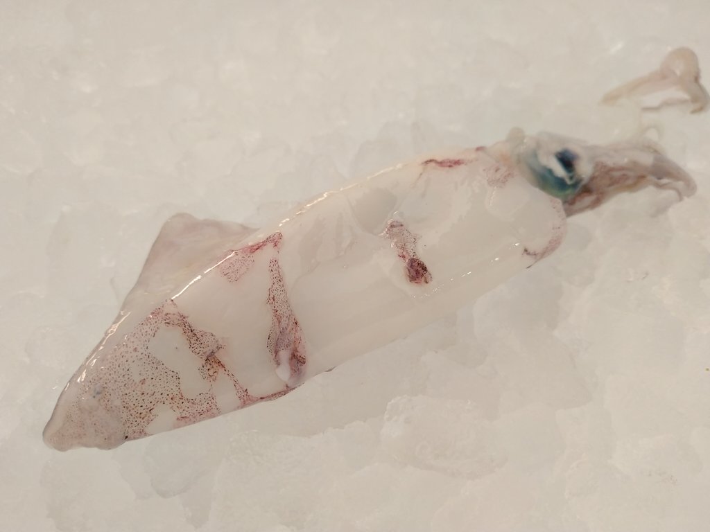 Una maravilla este calmar... Con <a href="/SaboraMalaga/">Sabor a Málaga</a> <a href="/Gastrobellver/">Enrique Bellver</a> <a href="/Malagaenlamesa/">Málaga en la Mesa</a> <a href="/AguaLeonor/">leonor garcia-agua</a> <a href="/ManuBalanzino/">Manu Balanzino</a> <a href="/gourmetjournal/">The Gourmet Journal</a> <a href="/noidesur/">Marina Martínez</a> <a href="/SobreGustos/">Jose Cabello</a> <a href="/cnbjork/">Carlos Navarro</a>