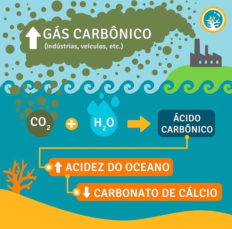 DeOlhoNosCorais's tweet photo. Uma das grandes mudanças após a Revolução Industrial 🏭 foi a emissão de gás carbônico na atmosfera. Uma vez que está tudo conectado, parte desse gás carbônico acaba sendo dissolvido pelos oceanos 🌊 e, quando em excesso, aumenta a acidez das águas 😳. Será que isso nos afeta? 🤔 https://t.co/n1TiSc2DxU