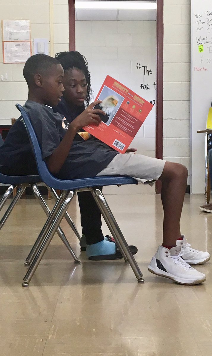 HolyGirl22's tweet photo. Today my #SummerExpress Ss had the privilege of teaching our @ReadtobeReadyTN Ss about how 3D printing was used to make a prosthetic beak for Beauty the Eagle after her beak was shattered by gunshot @HaywoodSchools @hassell_joey @yblivelaughlove @overseerced @deborahleerose https://t.co/Gvp466PdkJ