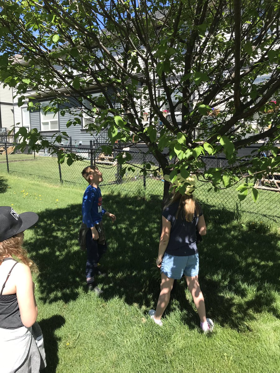 2Smithtweets's tweet image. Lots of learning happened yesterday with our in school field trip facilitated by the Ann and Sandy Cross Conservation Area. We are so fortunate to have the nature reserve in Williamstown so close! #habitats #invertibrates #lifecycles #classifyinginsects #hcsrvs #RVSed