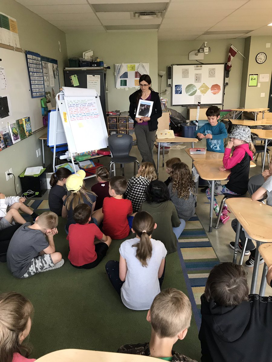 2Smithtweets's tweet image. Lots of learning happened yesterday with our in school field trip facilitated by the Ann and Sandy Cross Conservation Area. We are so fortunate to have the nature reserve in Williamstown so close! #habitats #invertibrates #lifecycles #classifyinginsects #hcsrvs #RVSed