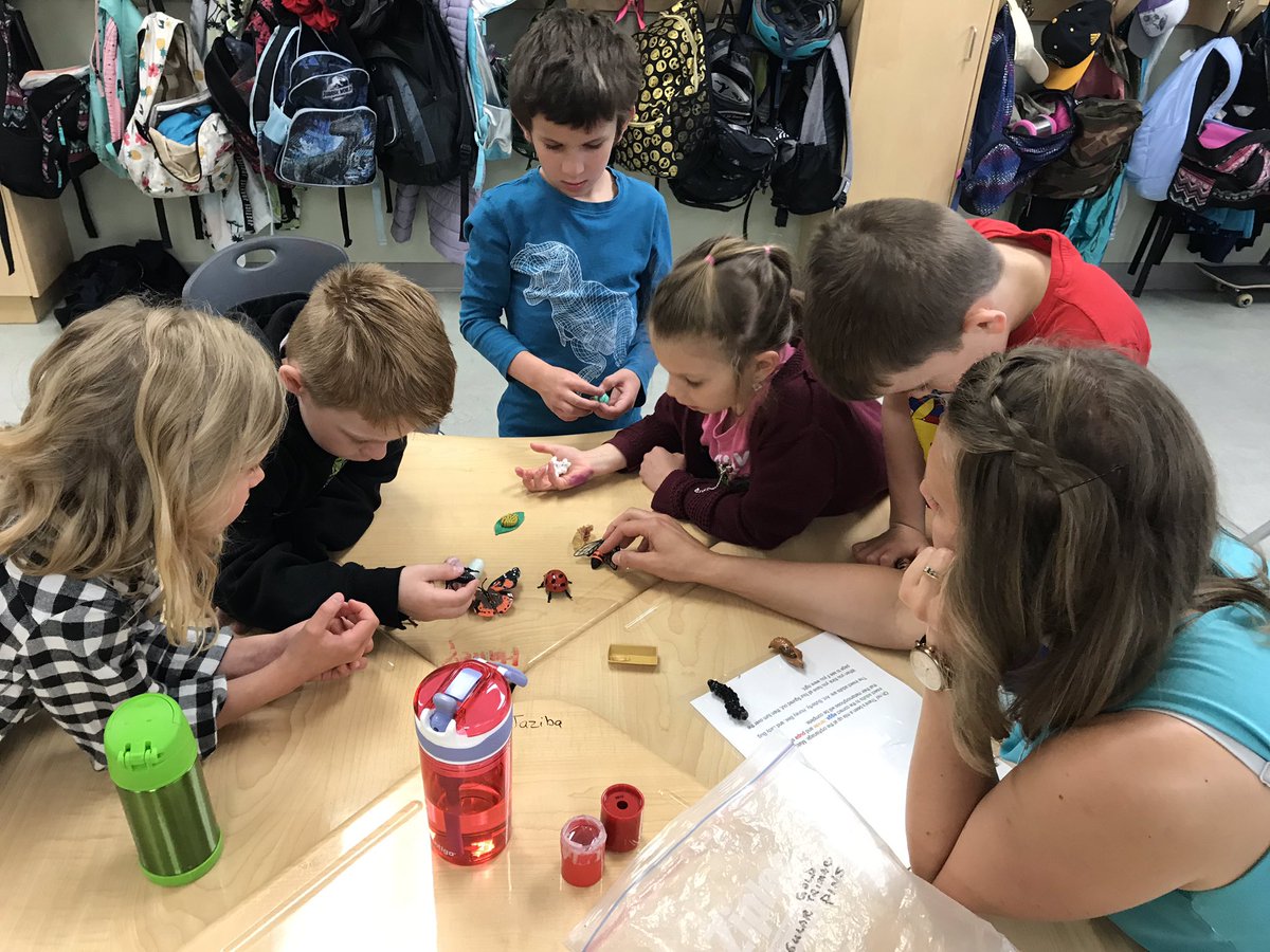 2Smithtweets's tweet image. Lots of learning happened yesterday with our in school field trip facilitated by the Ann and Sandy Cross Conservation Area. We are so fortunate to have the nature reserve in Williamstown so close! #habitats #invertibrates #lifecycles #classifyinginsects #hcsrvs #RVSed