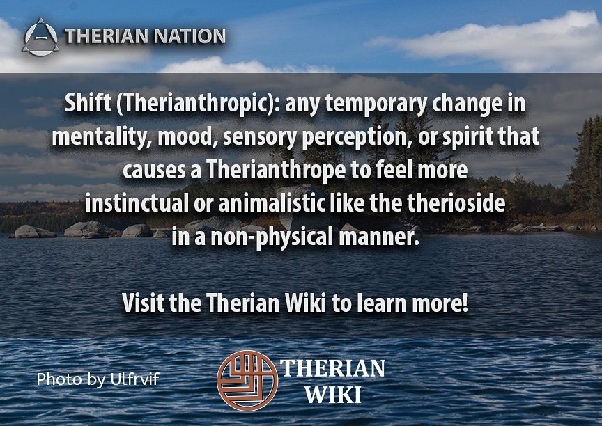 Therian Nation on X: Shifts are usually temporary, but some Therians have  reported feeling constant shifts, most commonly phantom shifts. However,  having shifts is not required to identify as a Therianthrope as
