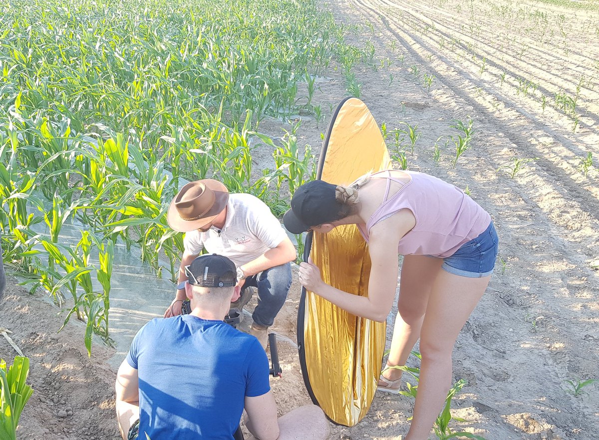samcosystem's tweet photo. Damian Tobianski - SAMCO, conducting an interview for Polish TV on how our system benefits maize growers in the south and north of Poland for #grain #maize and silage maize production #GlobalAmbition @Entirl #samcofilm #samcomaize https://t.co/twd8oQvHbr