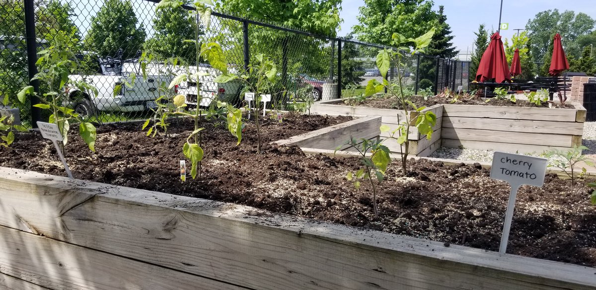 Team Depot event today at Piquette Square in Detroit was a huge success...laying mulch, working vegetable gardens, and refreshing the Veteran's courtyard area.  Thank you to everyone that volunteered!!  #GoTeam2706 <a href="/BriggsTamie/">Tamie Briggs</a> @Oathkeyper <a href="/paulkassab25/">Paul Kassab</a>