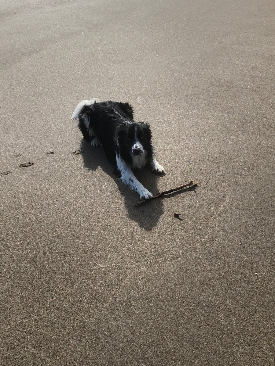 Professor Neil Withnell tweet media