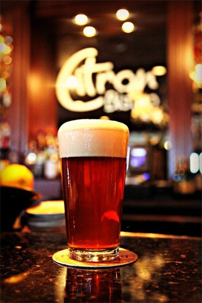 citronbistro's tweet photo. Join us on Sunday, June 16th, 2019 to celebrate Father’s Day.
https://t.co/ge49EZYgDz
#fathersday #denver #brunch #dinner @citronbistro https://t.co/JojcdoomQt