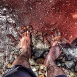 Photo by Mohammad Afhamisis (@afhamisis)