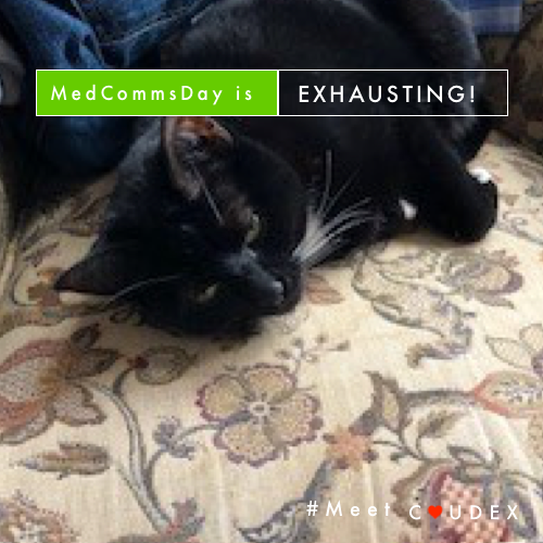 caudex_medical's tweet photo. For some of us #MedCommsDay2019 is proving to be exhausting! 

#MedComms #MeetCaudex #ScienceWithFlair #ScienceWithPurr https://t.co/aZ7SMPM3Ib