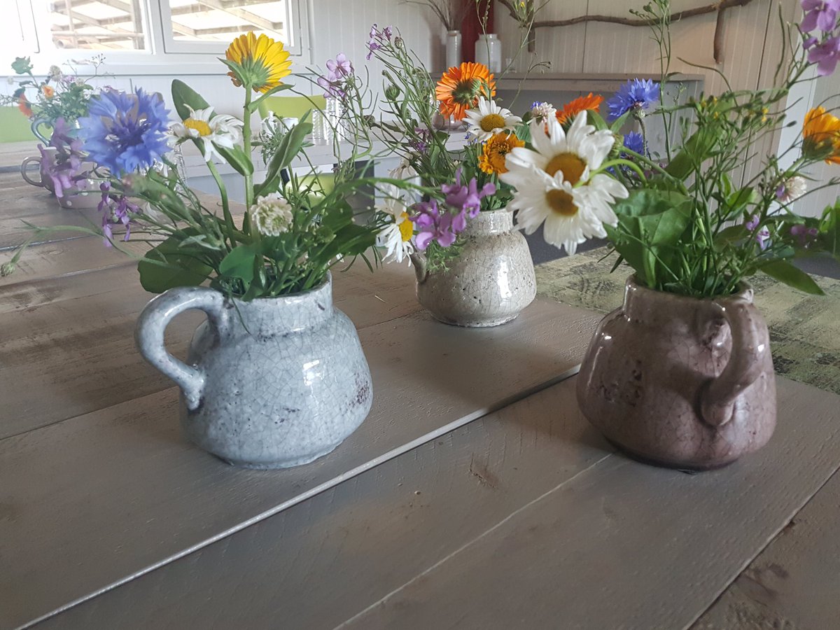 Hakkert3's tweet photo. Vorig jaar zaaide we #bloemenmengsel. Toen was het al een mooi en #fleurig geheel. Dit jaar zijn ze weer opgekomen. We zetten de #bloemen in onze #vergaderlocatie, mooi stukje #boerennatuur binnen. Worden we vrolijk van! En de #bijen en #insecten trouwens ook! #biodiversiteit https://t.co/qjSqMgInJU