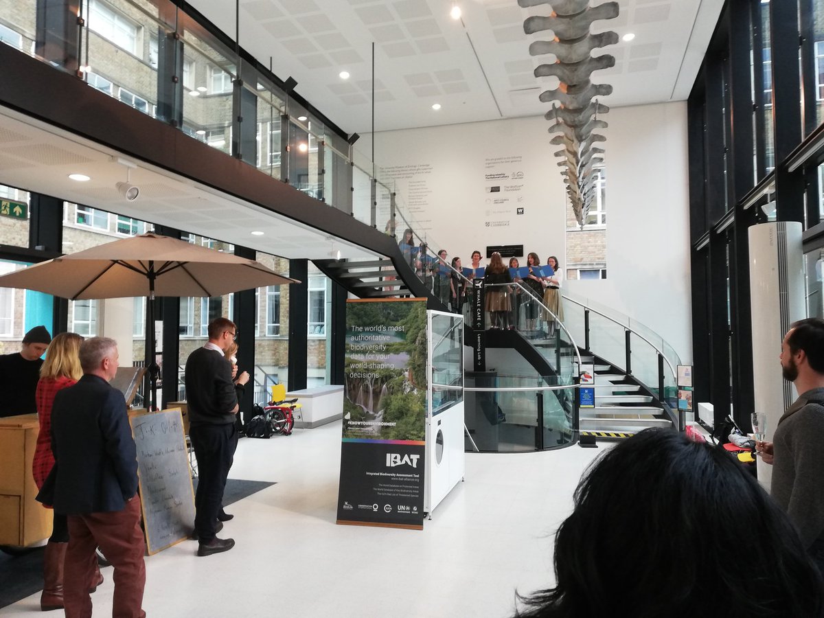 unepwcmc's tweet image. Serenaded by the @CCI_Cambridge choir under a whale - it has to be the launch of #IBAT 3.0! Thanks so much to the @ZoologyMuseum for hosting, and to all our wonderful partners in the #IBATAlliance for helping the world to #KnowYourEnvironment @IUCN @ConservationOrg @BirdLife_News