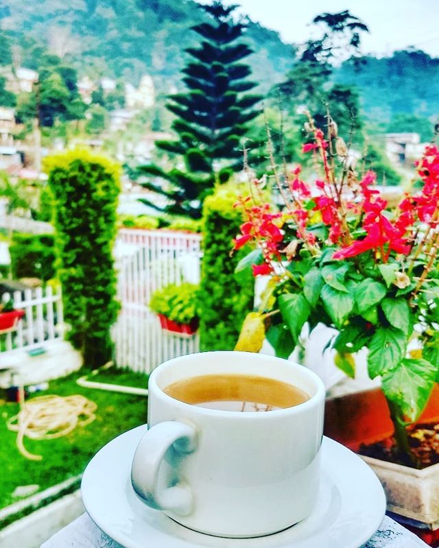 AnushreeS09's tweet photo. On my way to Shillong!
Stay tuned for some great stories from North-East :)
#chailover #chai #chaipiyali #tea #chaiblog #shillong https://t.co/8Vv4wiPDkZ https://t.co/M0USZ8R2cE