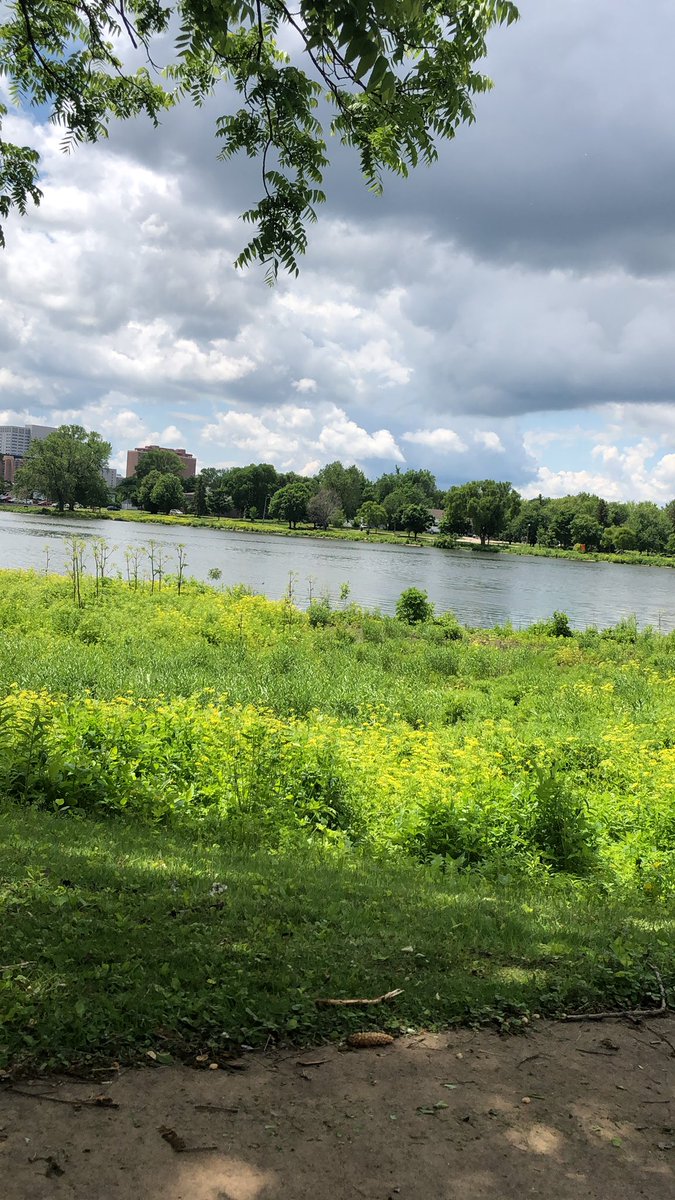 Taking time out this summer to relax more. I’ve always had a hard time with stress and work so this walk around Silver Lake is perfect.