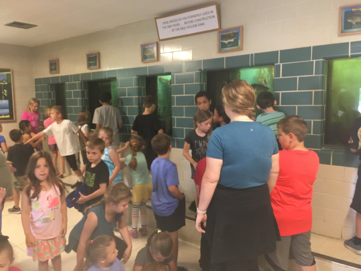 mallorybirdwell's tweet photo. We also got to visit the Dale Hollow National Fish Hatchery today and the kids very much enjoyed the information and feeding the trout. https://t.co/hZnVTPoP43