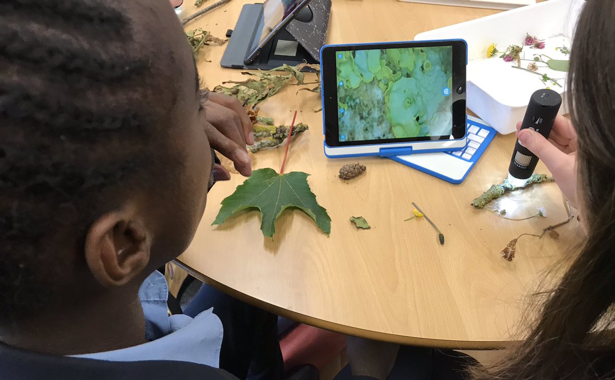 LibraryHanwell's tweet photo. Wonderful to share our penultimate @CILIPCKG after school club with @NoaLibrary Shadowing group today. Great collaborative acrostic poems written together, inspired by ‘Lost words’ @RobGMacfarlane https://t.co/20IaJDzyml