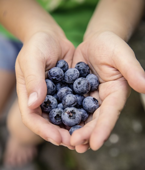 IronHorseTrail's tweet photo. Known for its local trestle, Bellis also features blueberry picking when they are in season. Rich in cultural diversity and a long agricultural history that might surprise you, Bellis is a beautiful stop along the way. https://t.co/TD4JxYJLEE