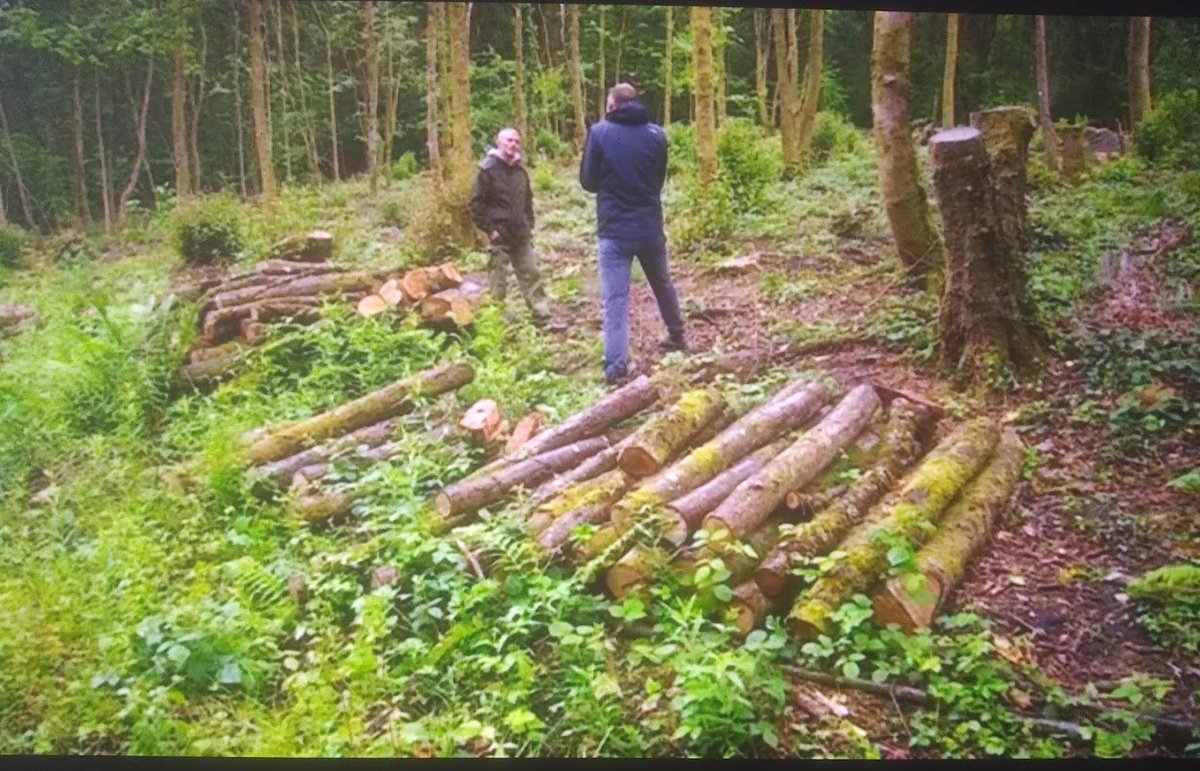 W_2_R_Woods's tweet photo. @TomClarke_ITV how times have changed for us, our Rhondda Valley landscape today is all about carbon 'capture' and 'green' energy generation #Getinvolved making positive contributions' to #UKclimateplan. #carbonzerowales @VisitRCT @visittreorchy #thewelcometoourwoodspartnership https://t.co/4WtqmLdvO2