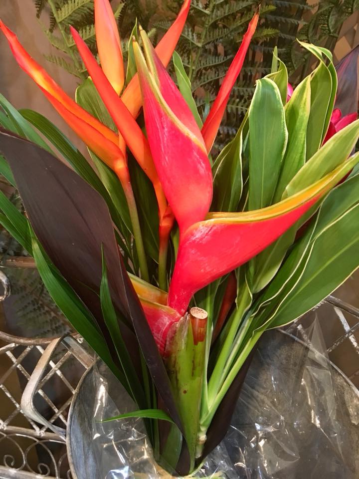 Wickman Gardens tweet media