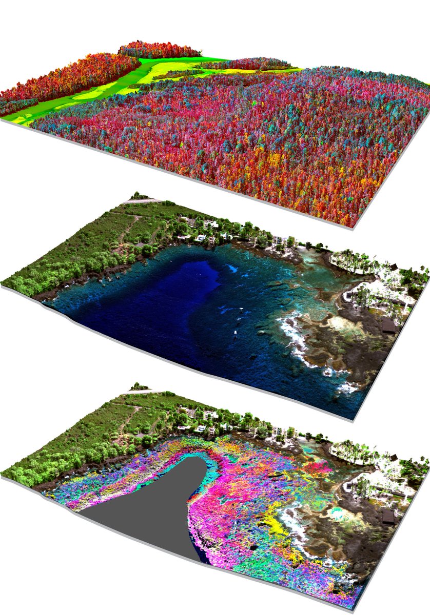 To Map a Coral Reef, Peel Back the Seawater
nytimes.com/2019/06/10/sci…
#GIS #spatial #coralreef #coral #coralreefs #remotesensing #LiDAR #airborne @deepseadawn #GlobalAirborneObservatory #climatechange #risingsealevel #highresolution #mapping #interpretation #modelling #AI